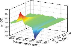 IR pump & IR probe transient spectrum of HCN vibrational relaxation