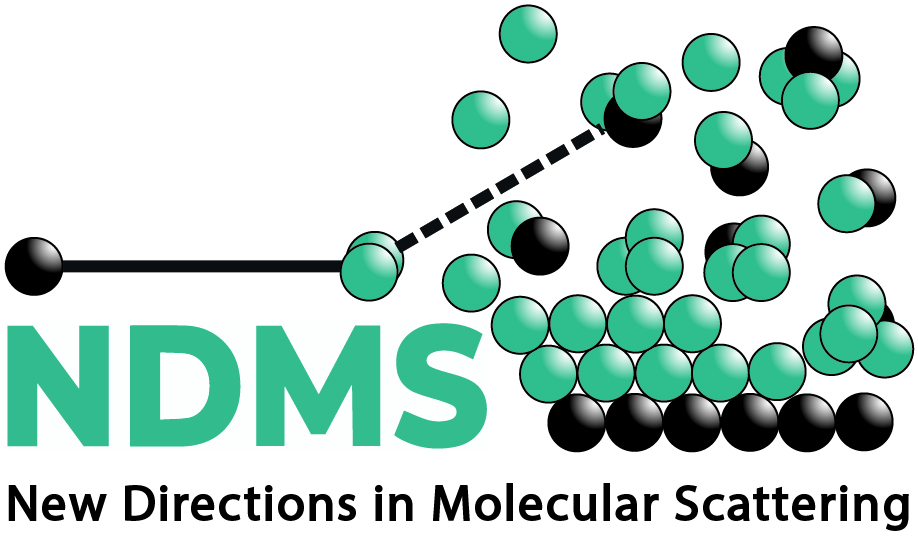 The logo for the NDMS Programme